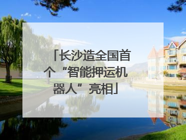 长沙造全国首个“智能押运机器人”亮相