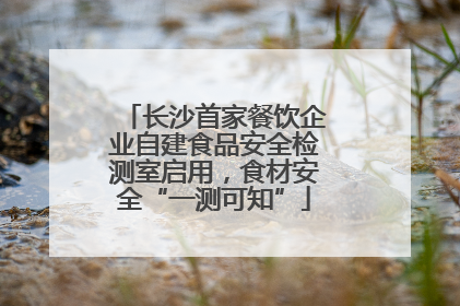 长沙首家餐饮企业自建食品安全检测室启用，食材安全“一测可知”