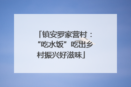 镇安罗家营村：“吃水饭”吃出乡村振兴好滋味