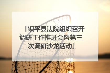 镇平县法院组织召开调研工作推进会暨第三次调研沙龙活动