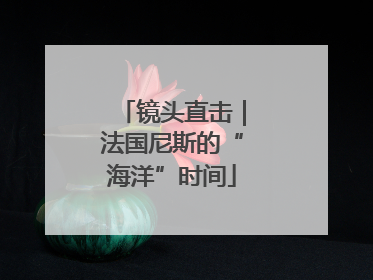 镜头直击｜法国尼斯的“海洋”时间