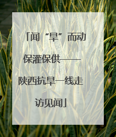 闻“旱”而动 保灌保供——陕西抗旱一线走访见闻