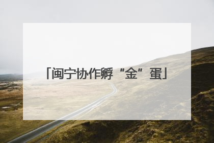 闽宁协作孵“金”蛋