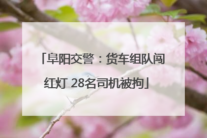 阜阳交警：货车组队闯红灯 28名司机被拘