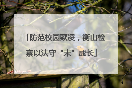防范校园欺凌，衡山检察以法守“未”成长