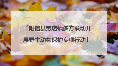 阳信县劳店镇多方联动开展野生动物保护专项行动