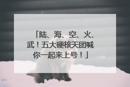 陆、海、空、火、武！五大硬核天团喊你一起来上号！