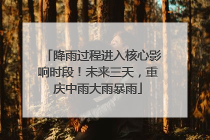 降雨过程进入核心影响时段！未来三天，重庆中雨大雨暴雨