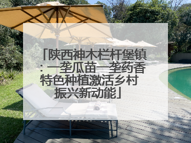 陕西神木栏杆堡镇：一垄瓜苗一垄药香 特色种植激活乡村振兴新动能