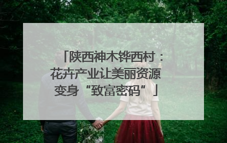 陕西神木铧西村：花卉产业让美丽资源变身“致富密码”