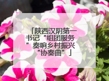 陕西汉阴第一书记“组团服务”奏响乡村振兴“协奏曲”