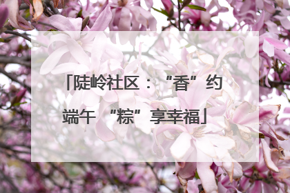 陡岭社区：“香”约端午 “粽”享幸福