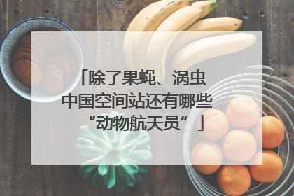 除了果蝇、涡虫 中国空间站还有哪些“动物航天员”