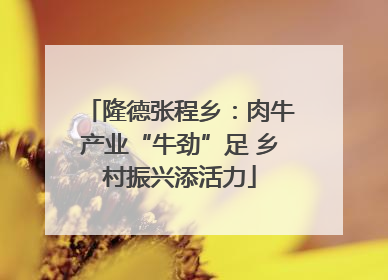 隆德张程乡：肉牛产业“牛劲”足 乡村振兴添活力