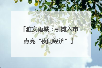 雅安雨城：引摊入市 点亮“夜间经济”