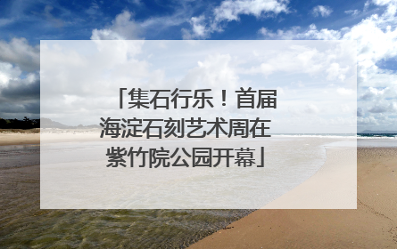 集石行乐！首届海淀石刻艺术周在紫竹院公园开幕