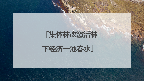 集体林改激活林下经济一池春水