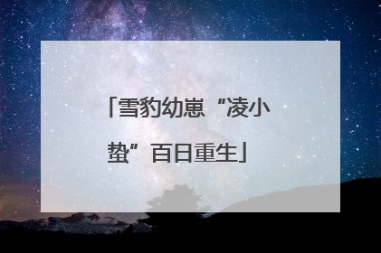 雪豹幼崽“凌小蛰”百日重生