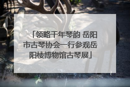 领略千年琴韵 岳阳市古琴协会一行参观岳阳楼博物馆古琴展