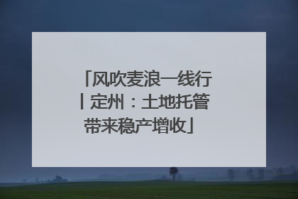 风吹麦浪一线行丨定州：土地托管带来稳产增收