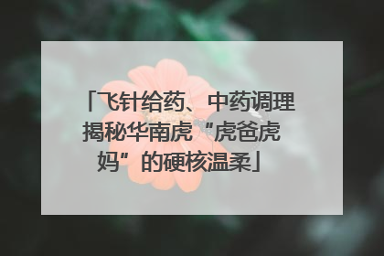 飞针给药、中药调理 揭秘华南虎“虎爸虎妈”的硬核温柔