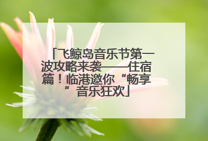 飞鲸岛音乐节第一波攻略来袭——住宿篇！临港邀你“畅享”音乐狂欢