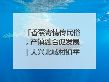 香囊寄情传民俗，产镇融合促发展｜大兴北臧村镇举办端午主题活动