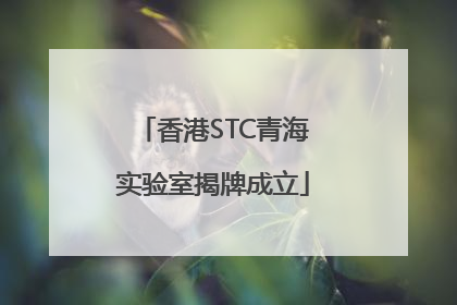香港STC青海实验室揭牌成立