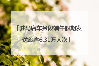 驻马店车务段端午假期发送旅客6.31万人次