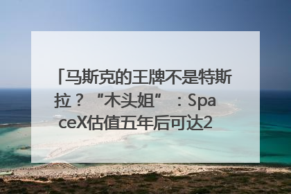 马斯克的王牌不是特斯拉？“木头姐”：SpaceX估值五年后可达2.5万亿美元！