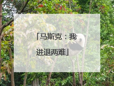 马斯克：我进退两难