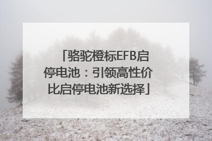 骆驼橙标EFB启停电池：引领高性价比启停电池新选择