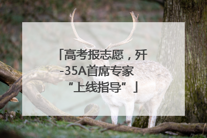 高考报志愿，歼-35A首席专家“上线指导”