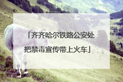 齐齐哈尔铁路公安处把禁毒宣传带上火车