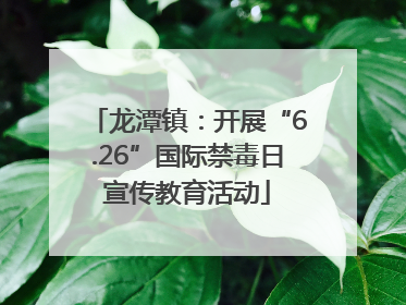 龙潭镇：开展“6.26”国际禁毒日宣传教育活动