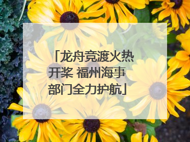 龙舟竞渡火热开桨 福州海事部门全力护航