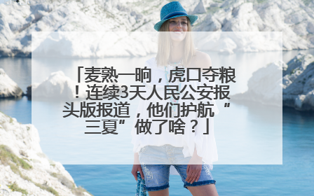 麦熟一晌，虎口夺粮！连续3天人民公安报头版报道，他们护航“三夏”做了啥？