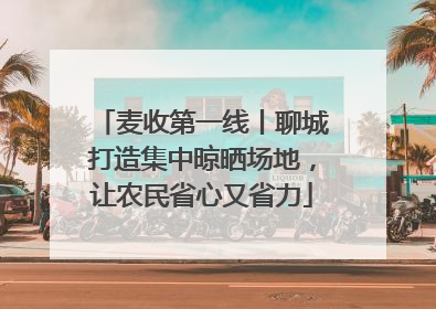 麦收第一线丨聊城打造集中晾晒场地，让农民省心又省力
