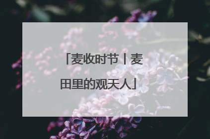 麦收时节丨麦田里的观天人