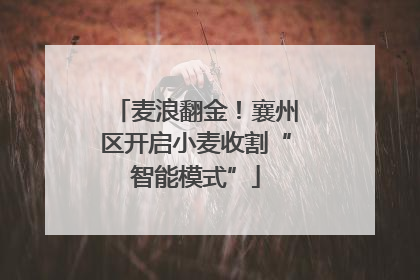 麦浪翻金！襄州区开启小麦收割“智能模式”
