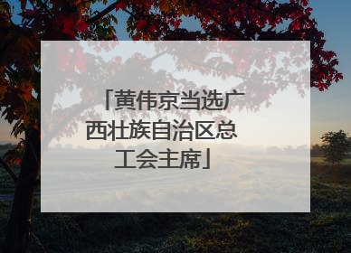 黄伟京当选广西壮族自治区总工会主席