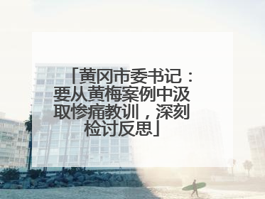 黄冈市委书记：要从黄梅案例中汲取惨痛教训，深刻检讨反思