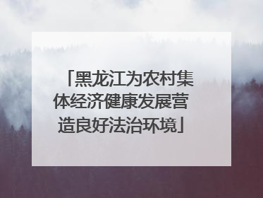 黑龙江为农村集体经济健康发展营造良好法治环境