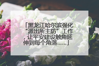 黑龙江哈尔滨强化“派出所主防”工作，让平安建设触角延伸到每个角落……