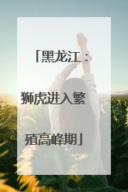 黑龙江：狮虎进入繁殖高峰期