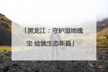 黑龙江：守护湿地瑰宝 绘就生态新篇