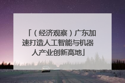 （经济观察）广东加速打造人工智能与机器人产业创新高地