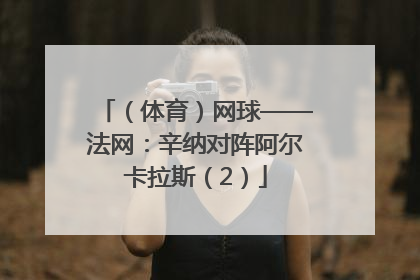（体育）网球——法网：辛纳对阵阿尔卡拉斯（2）