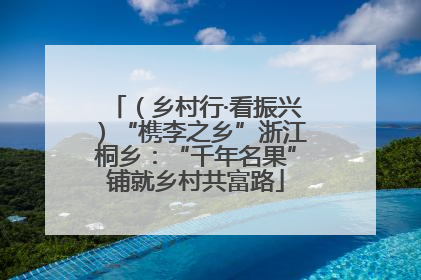 （乡村行·看振兴）“槜李之乡”浙江桐乡：“千年名果”铺就乡村共富路