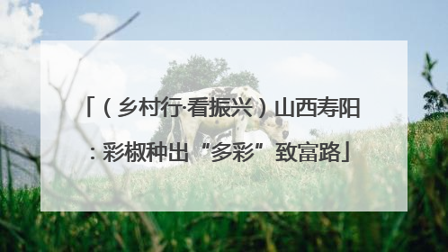 （乡村行·看振兴）山西寿阳：彩椒种出“多彩”致富路